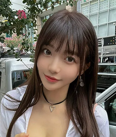 白塔之下 热播剧在线看